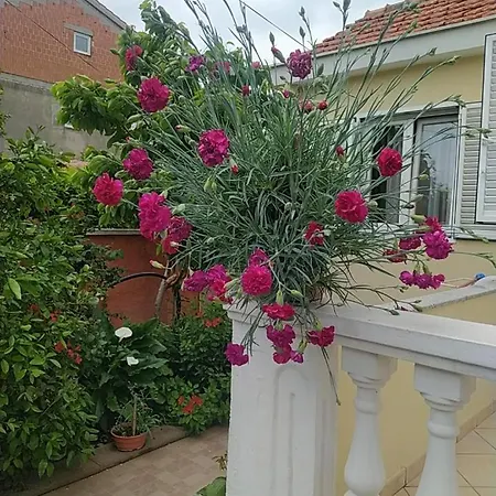 Penzion Branko Zadar