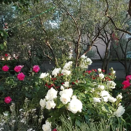 Branko Pensionat Zadar