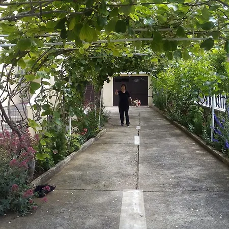 Branko בית הארחה